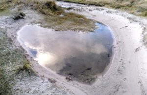 HerzCoach Alex Bannes - Neuigkeiten - Herzintelligenz